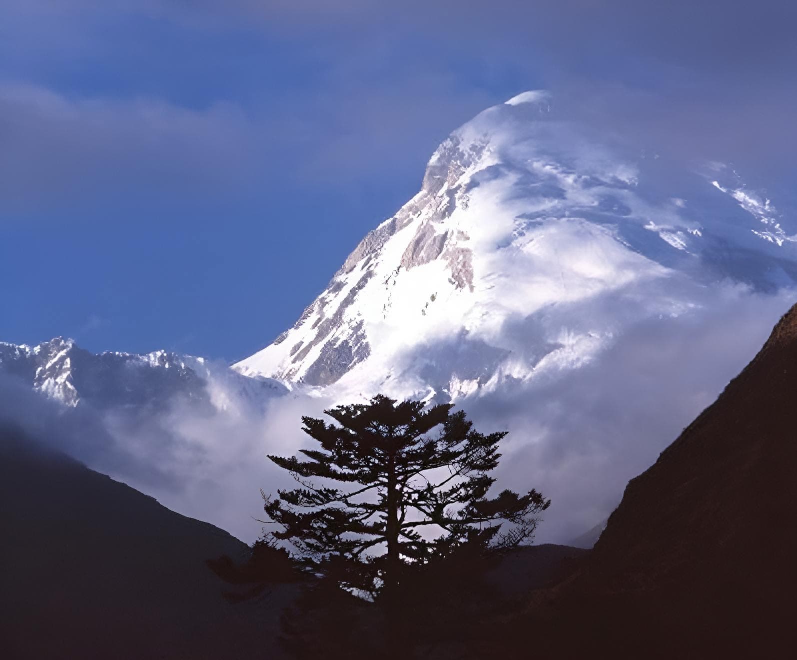 The snow peak of Jomolhari rising behind a lone silhouetted tree